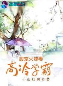 高冷学霸甜宠火辣妻百度