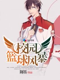 校园篮球风云视频