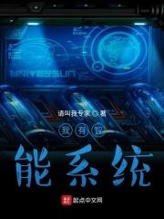 我有智能系统 请叫我专家