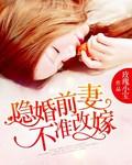 隐婚前妻免费阅读