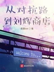 从对抗路到刘辉的商店