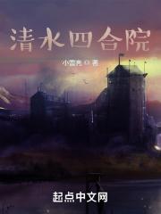 情满四合院电视剧