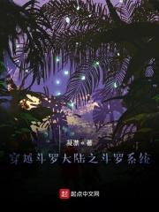 穿越斗罗大陆获得系统