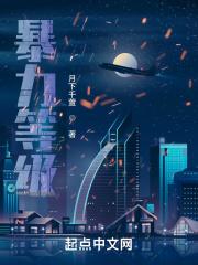 暴力评级