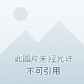 农家长姐带着空间去逃荒合集