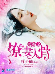 暖婚甜入骨全文阅读