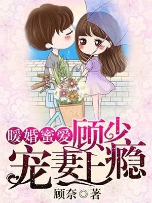 暖婚顾少宠妻上瘾漫画全集免费