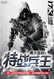 特战兵王叶公子