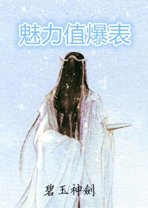 魅力值说明