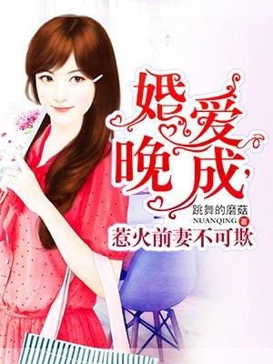 惹爱成婚前妻凶猛 全文