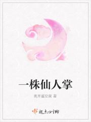 一株仙人掌还是一颗仙人掌