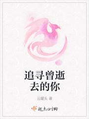 追寻那逝去的