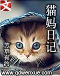 猫咪日记作文