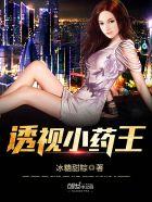 透视小医皇免费阅读
