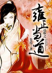 还珠之雍正
