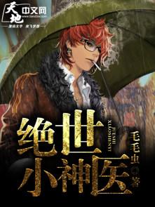 绝世小神医女版