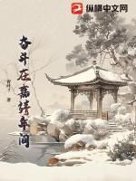 奋斗在嘉靖年间的