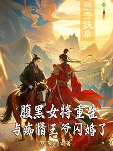 腹黑王腹黑将军喜当爹