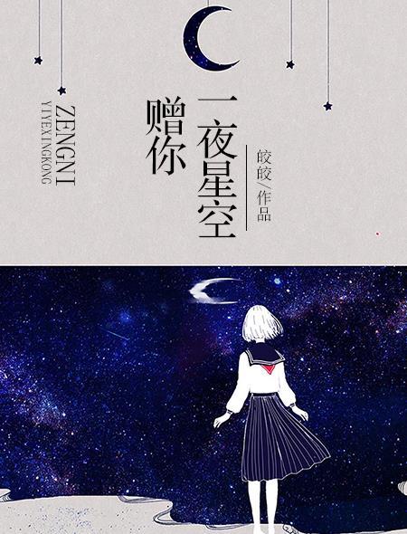 赠你一夜星空晋江