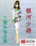 银河警备队队长