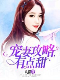 宠妻攻略慕少请低调