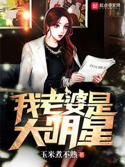 我老婆是大明星无