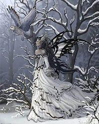 网王之越前龙雪