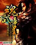 魂帝武神帝