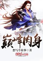 巅峰新品肉干