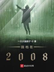 回档在2008番外