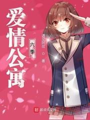 爱情公寓续写第六季在线观看