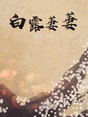 蒹葭萋萋白露未晞的理解