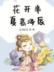 花开半夏免费全文