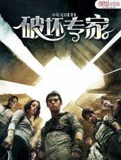 破坏专家电影免费观看